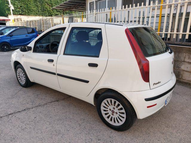 FIAT Punto Classic 1.2 5 porte Active GPL