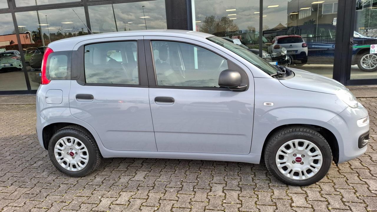 Fiat Panda 1.2 Easy easypower Gpl 69cv my19