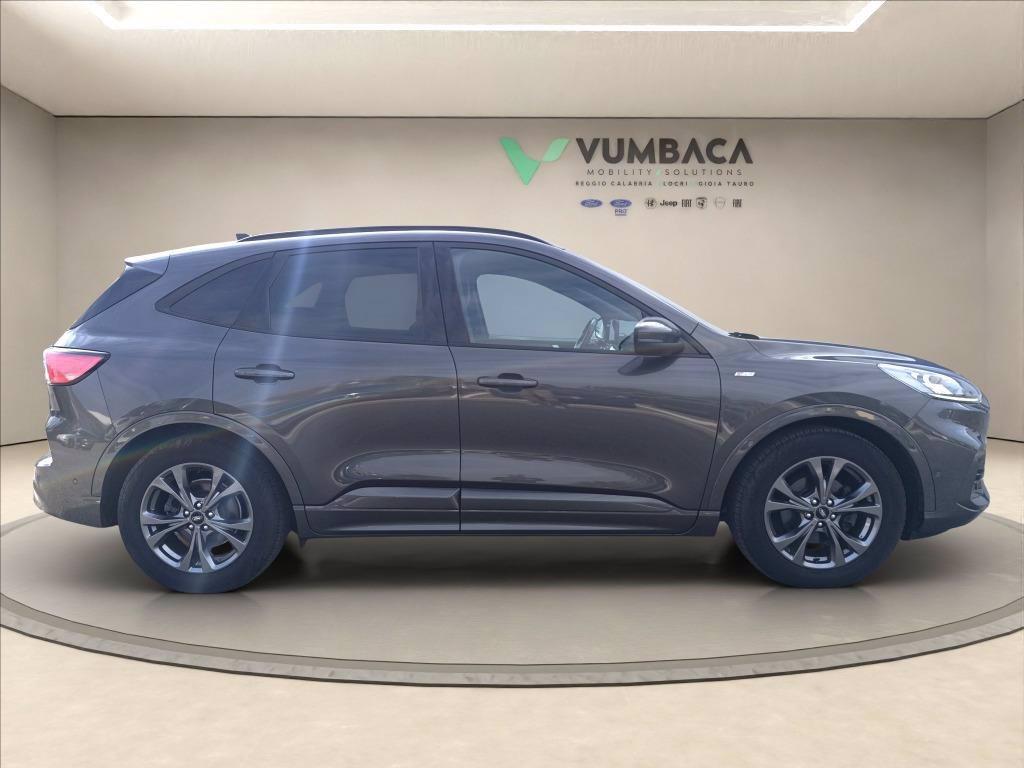 FORD Kuga 1.5 ecoblue ST-Line X 2wd 120cv auto del 2020