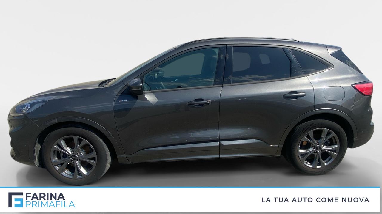 FORD Kuga III 2020 - Kuga 2.0 ecoblue ST-Line X 2wd 120cv auto