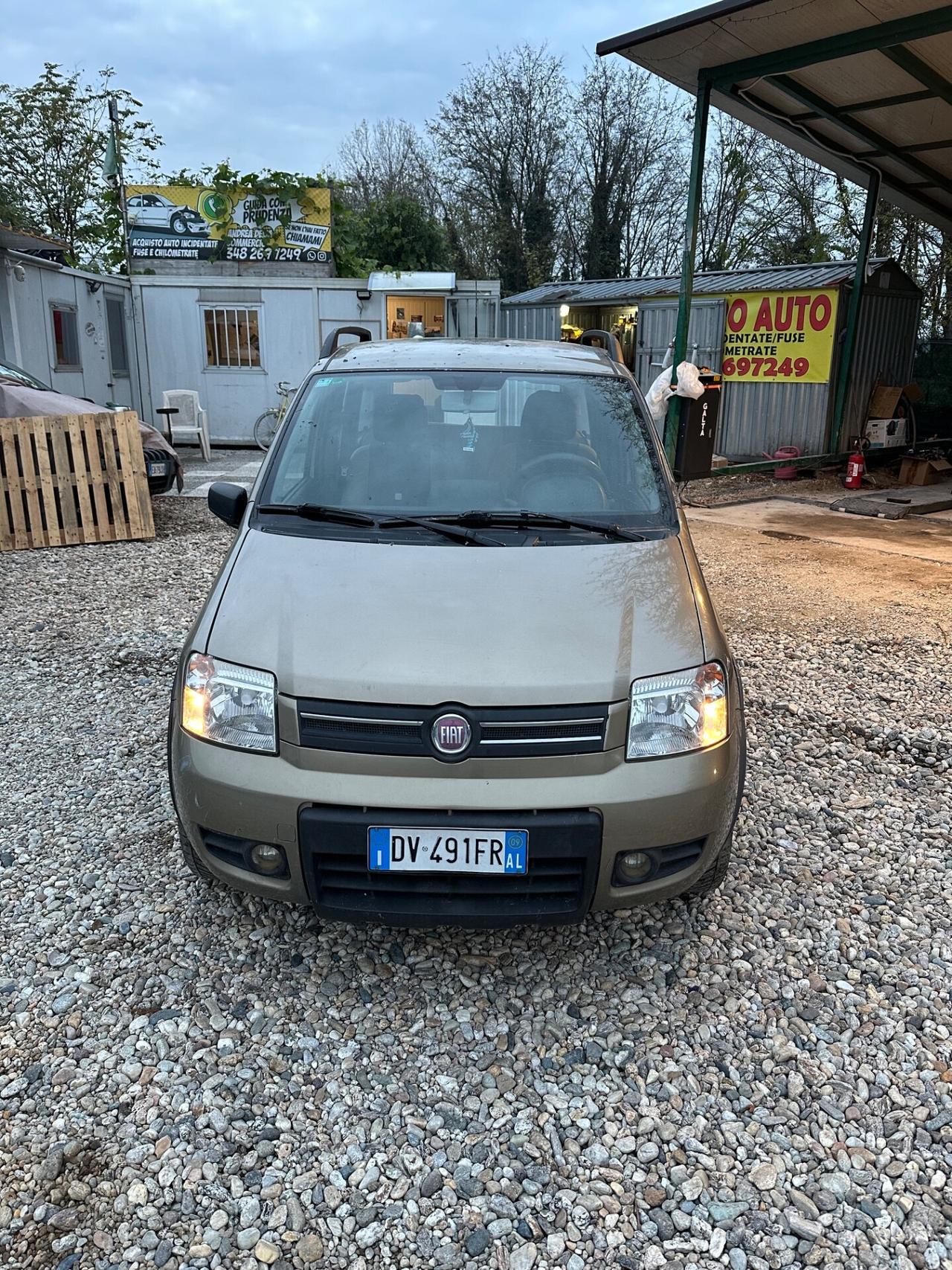 Fiat Panda 1.2 4x4 Glam sinistrata