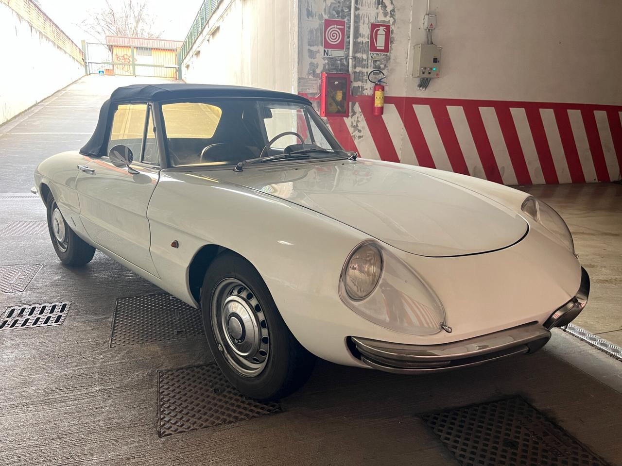 Alfa Romeo Spider 1750 Osso di seppia