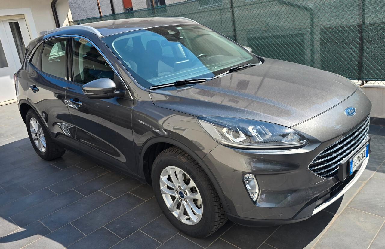 Ford Kuga 2.0 EcoBlue Hybrid 150 CV 2WD Titanium Business