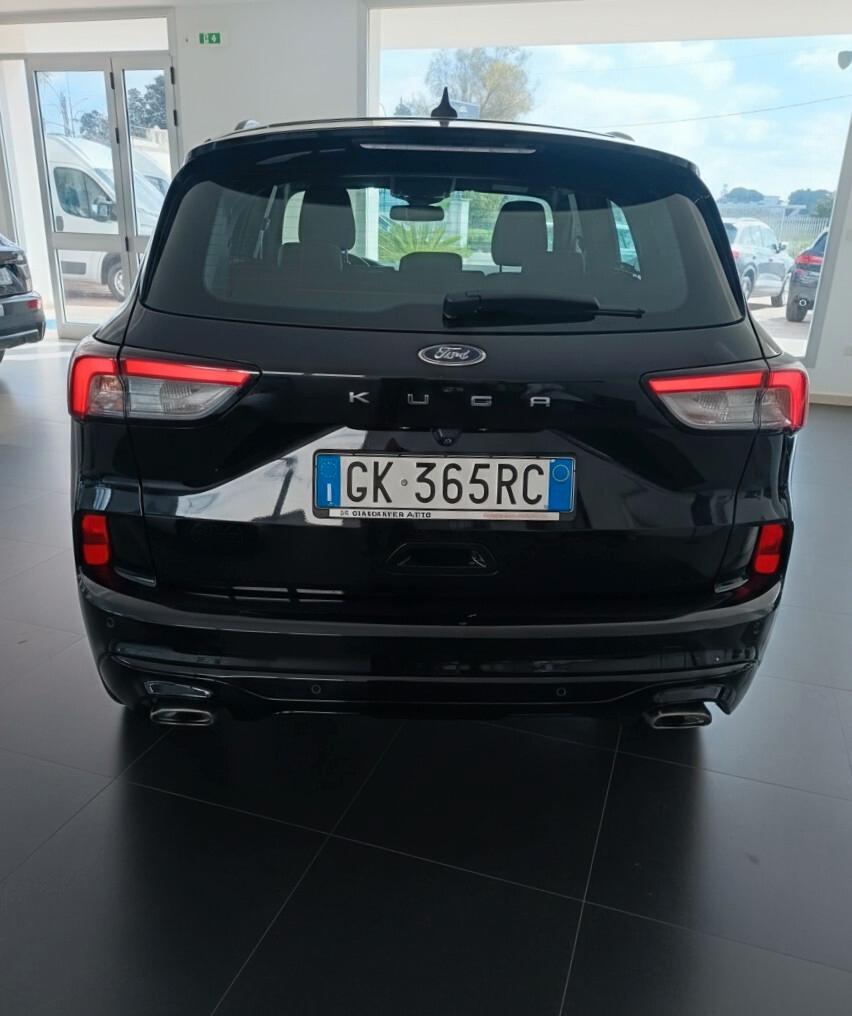 Ford Kuga 1.5 EcoBlue 120 CV aut. 2WD ST-Line