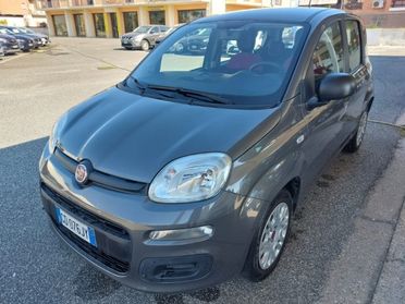 FIAT Panda 1.0 FireFly S&S Hybrid Uniprò km 63000 Clima