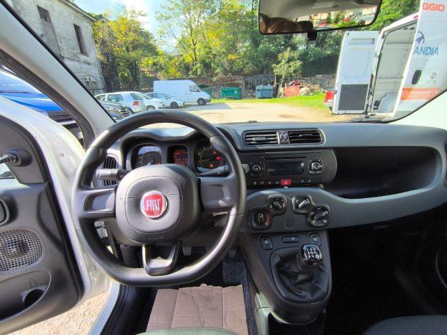 FIAT Panda 1.2 Easy ADATTA A NEOPATENTATI