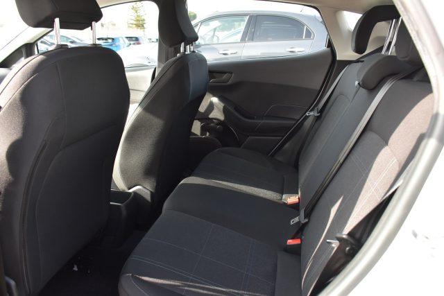 FORD Fiesta 1.5 EcoBlue 5 porte Business