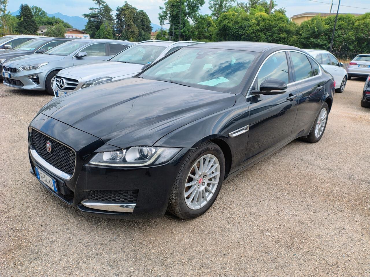 Jaguar XF aut. Portfolio (SOLO PER OPERATORI DEL SETTORE)