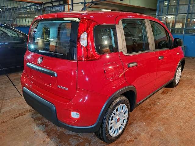 Fiat Panda 1.0 Hybrid 70cv 36 Rate da 177,95