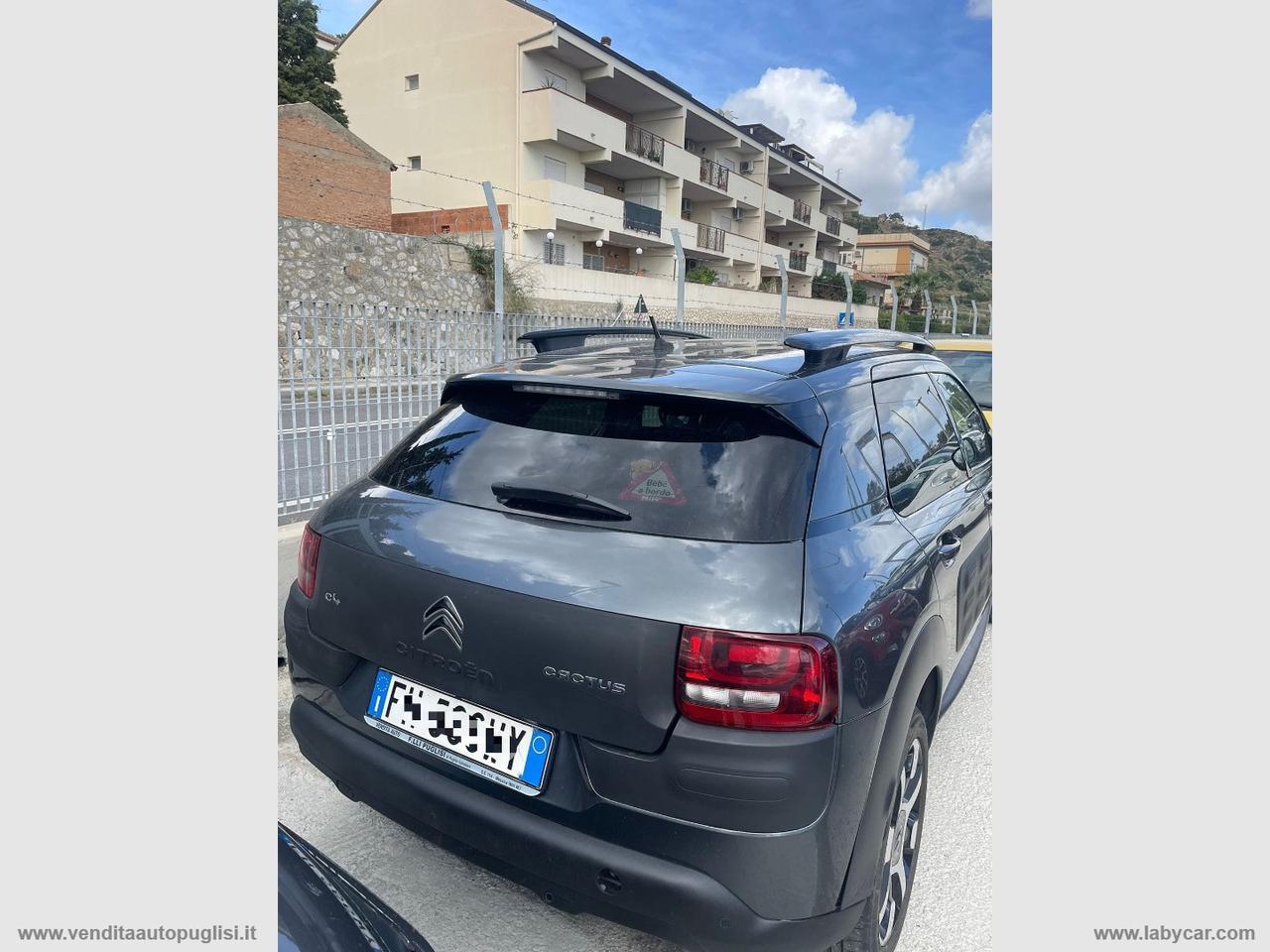 CITROEN C4 Cactus BlueHDi 100 Shine
