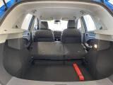 Mg ZS - APERTI AD AGOSTO