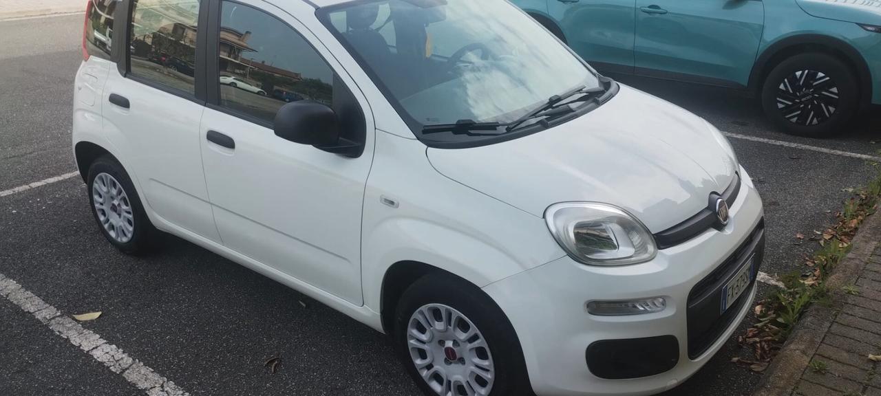 Fiat Panda 1.2 Easy 5P ANNO 2019 BENZINA