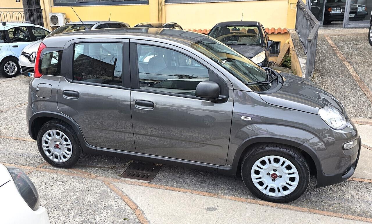 Panda 1.0 Hybrid KM17000 DIC 2022 GARANZIA PERMUTE