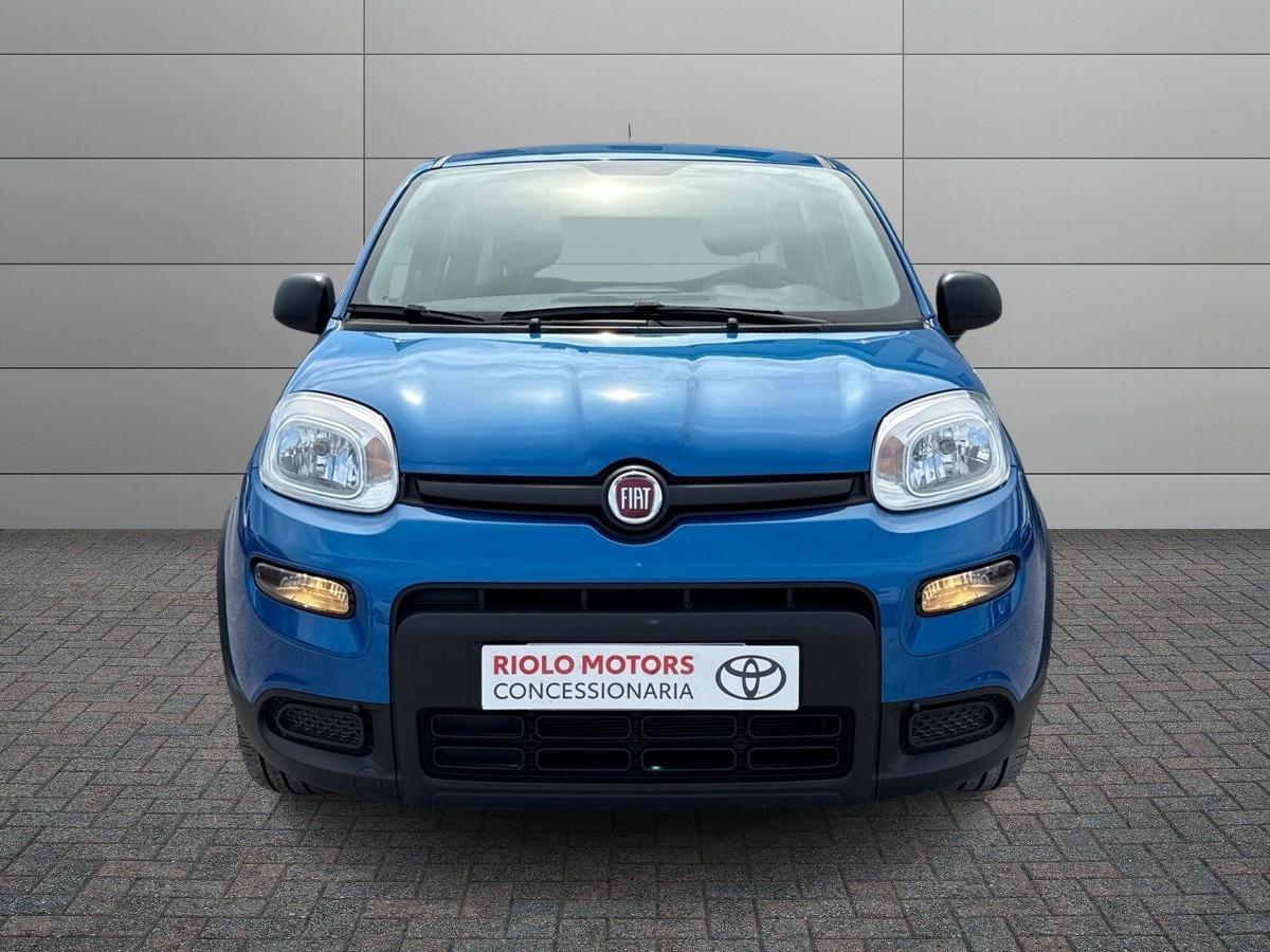 FIAT Panda III 2021 - Panda 1.0 firefly hybrid s&s 70cv