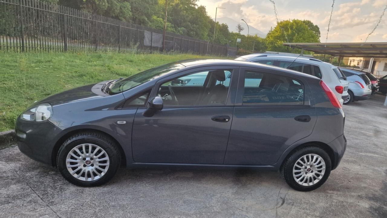 Fiat Punto 1.2 8V 5 porte Street - 2015 "ottime condiz."