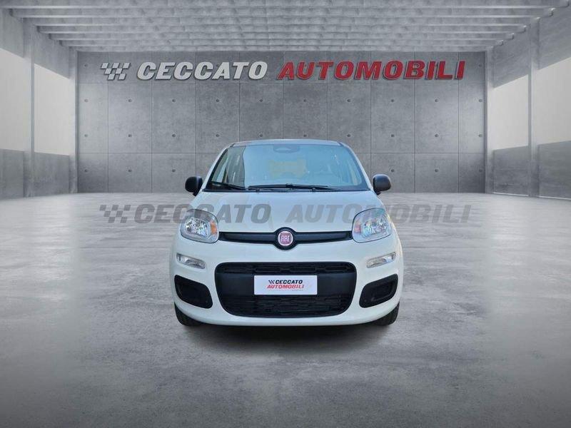 FIAT Panda Panda 1.0 firefly hybrid s&s 70cv 5p.ti