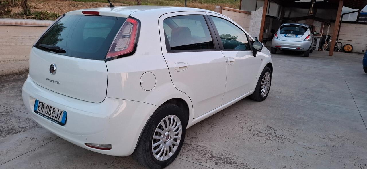 Fiat Punto 1.3 MJT II S&S 95 CV 5 porte Easy