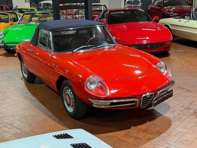 ALFA ROMEO Spider Osso di Seppia 1750 Veloce