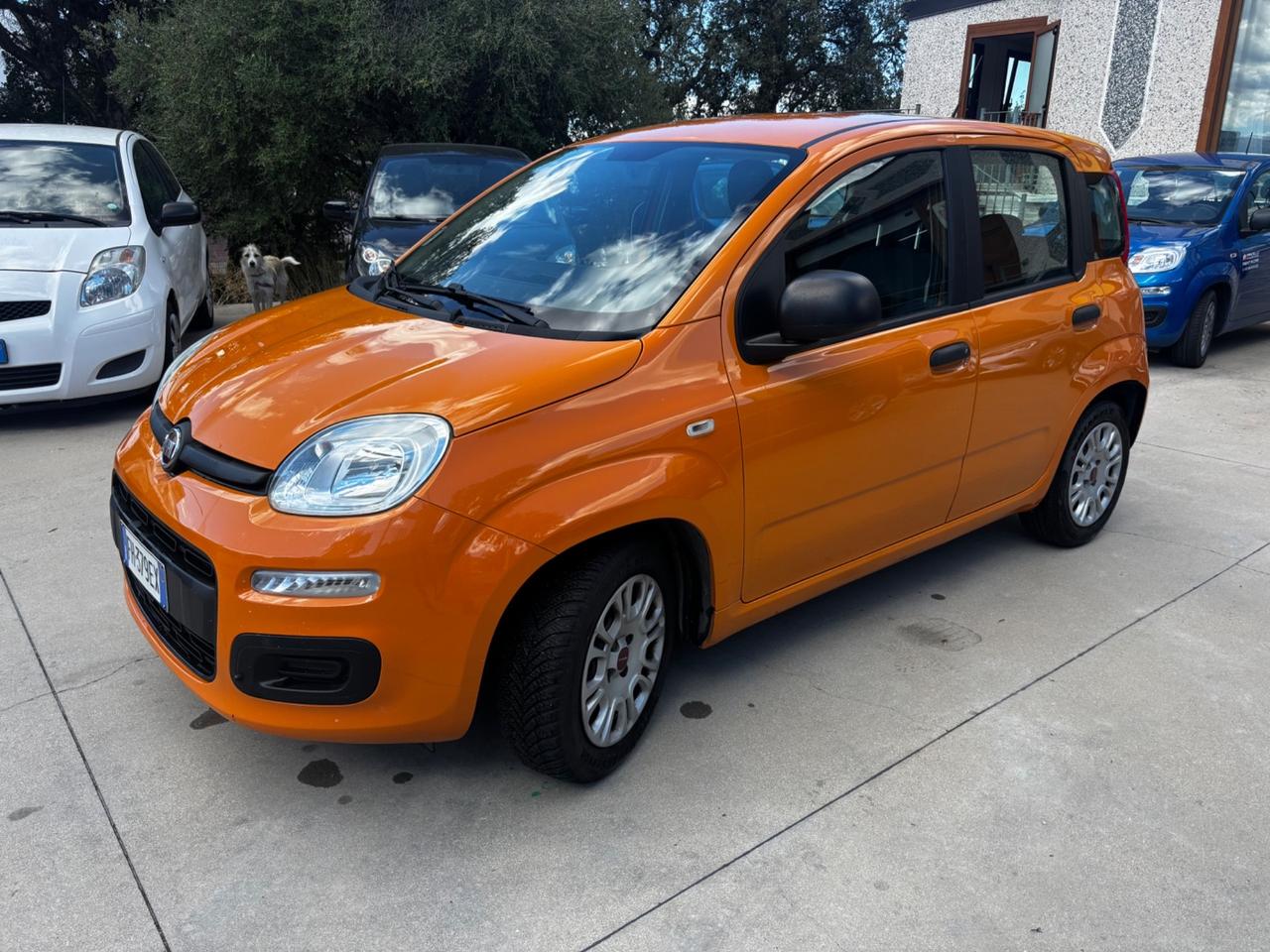 Fiat Panda 1.2 Pop 70CV