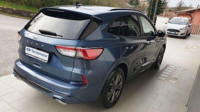 FORD Kuga ST-Line 2.0 EcoBlue 120cv Autom. 8M