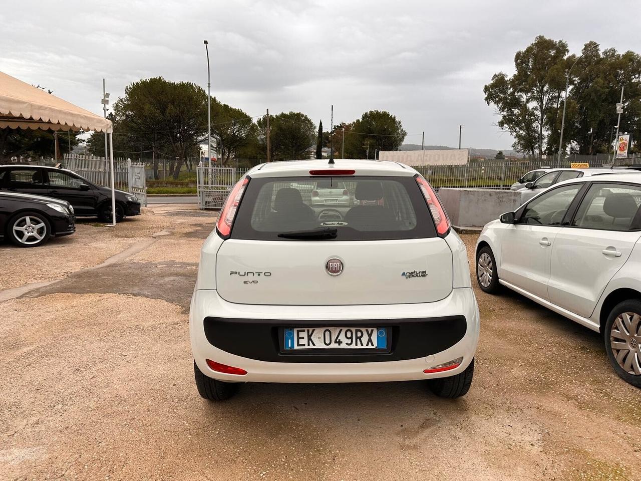 Fiat Punto Evo Punto Evo 1.4 5 porte Dynamic Natural Power