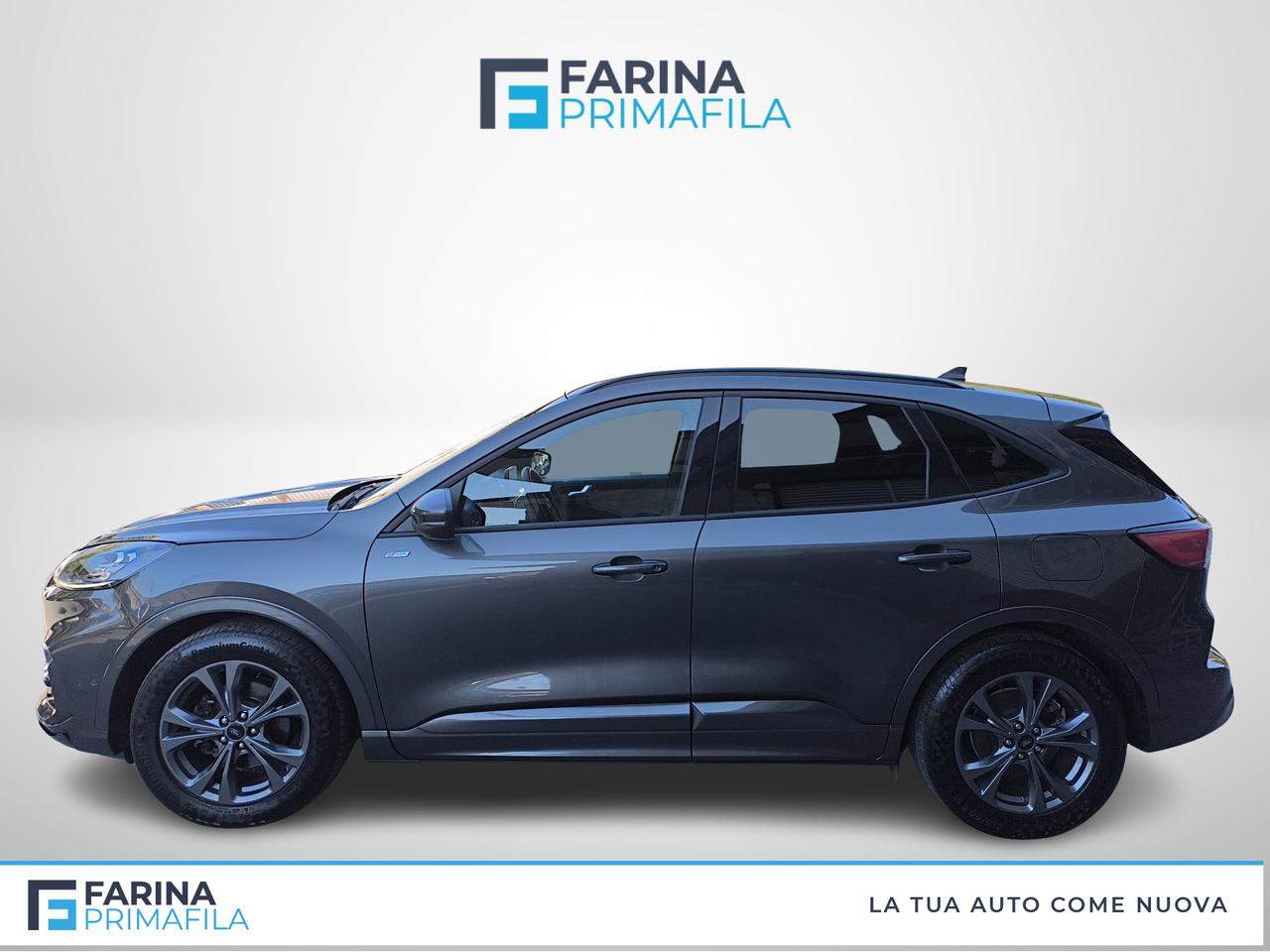 FORD Kuga III 2020 - Kuga 2.5 full hybrid ST-Line X 2wd 190cv cvt