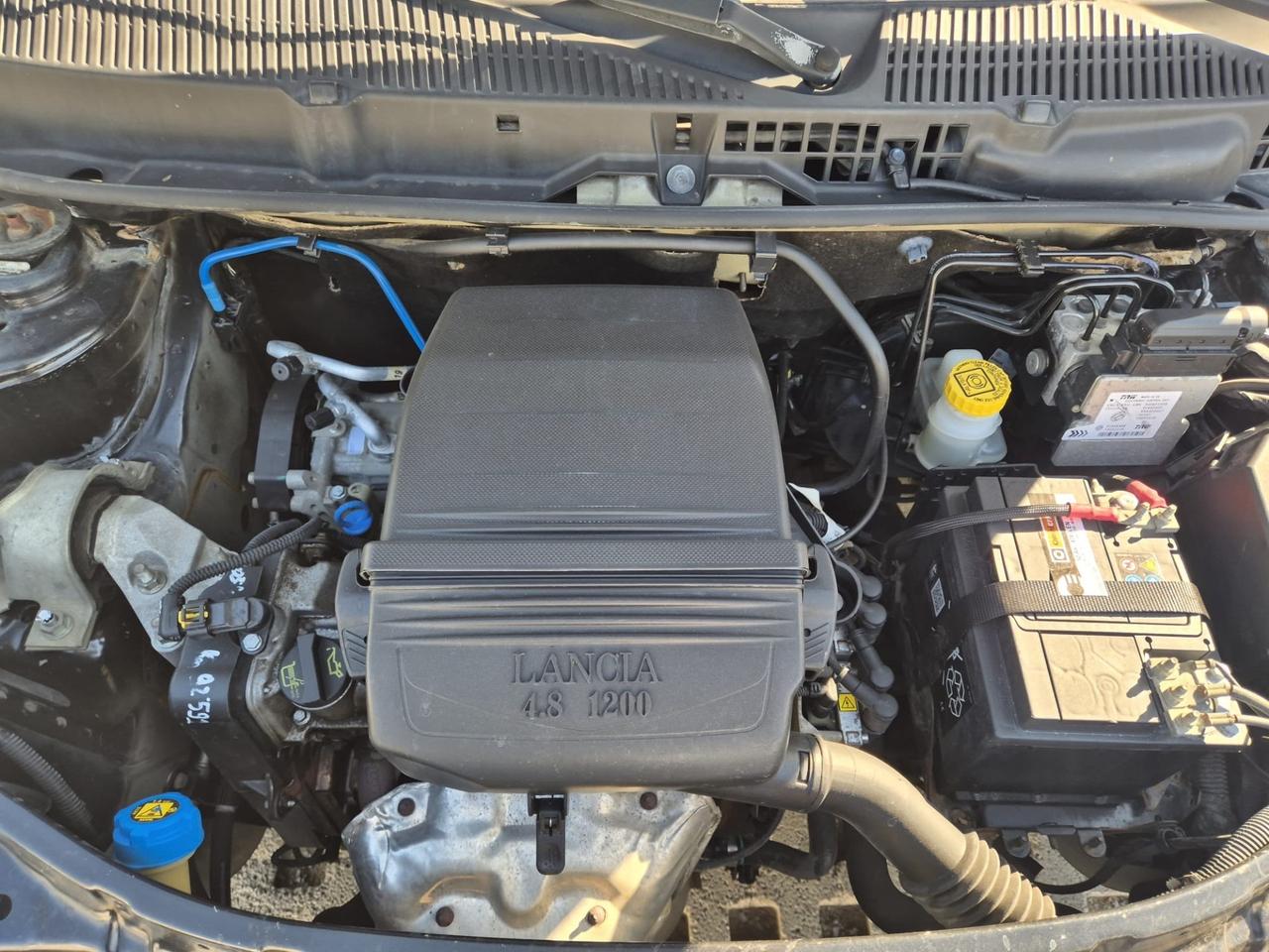 Lancia Ypsilon 1.2 Elle