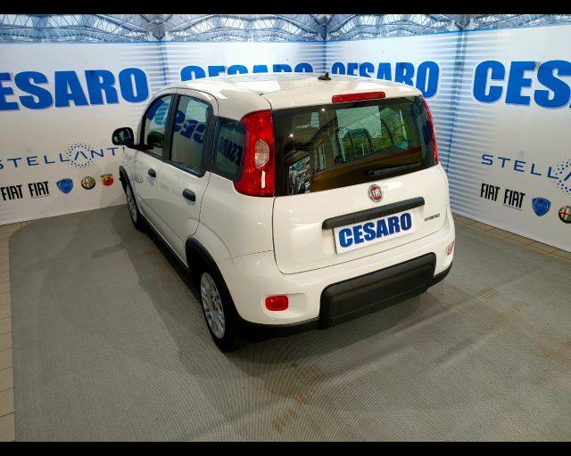 FIAT New Panda 1.0 firefly hybrid s&s 70cv 5p.ti