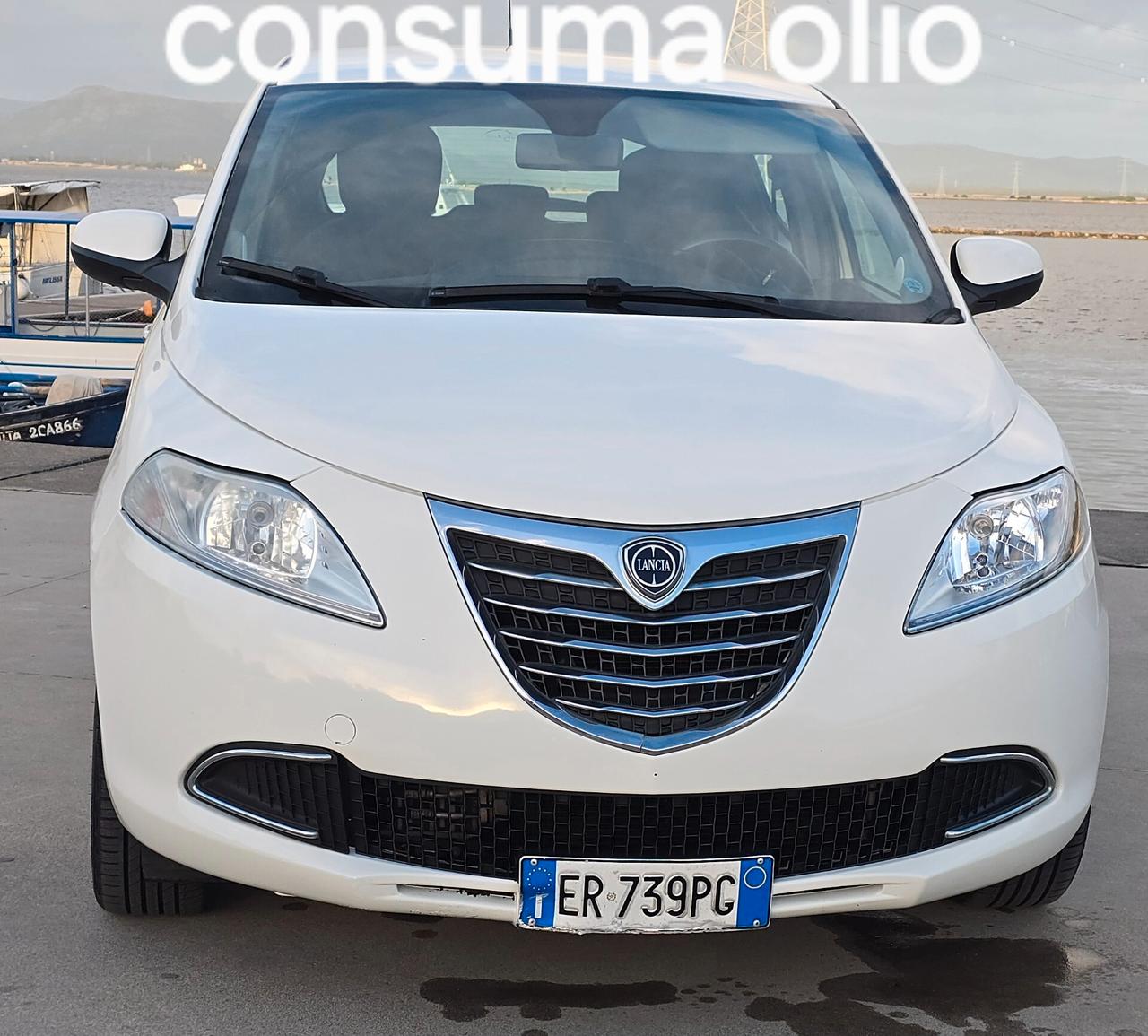 Lancia Ypsilon 1.3 MJT 16V 95 CV 5 porte S&S Platinum