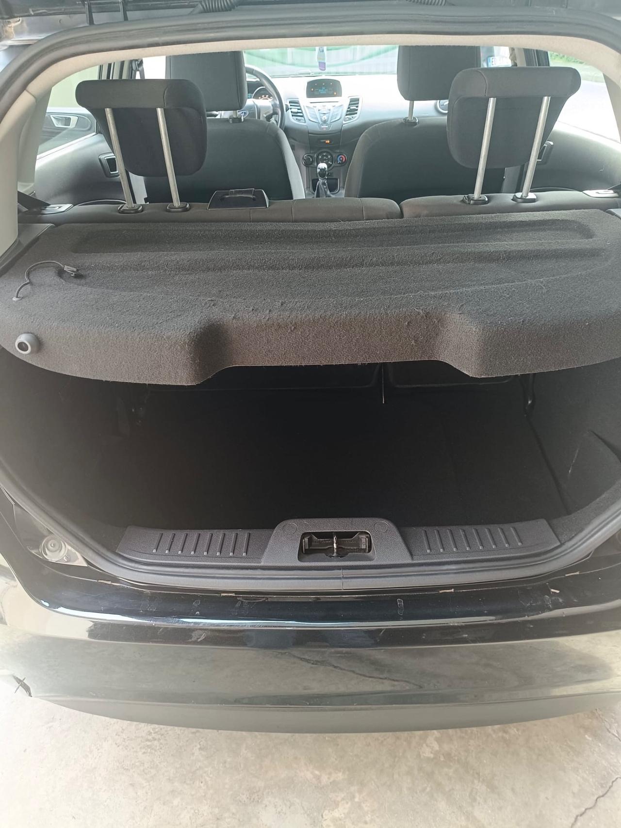 Ford Fiesta 1.5 TDCi 75CV 5 porte Black & White Edition