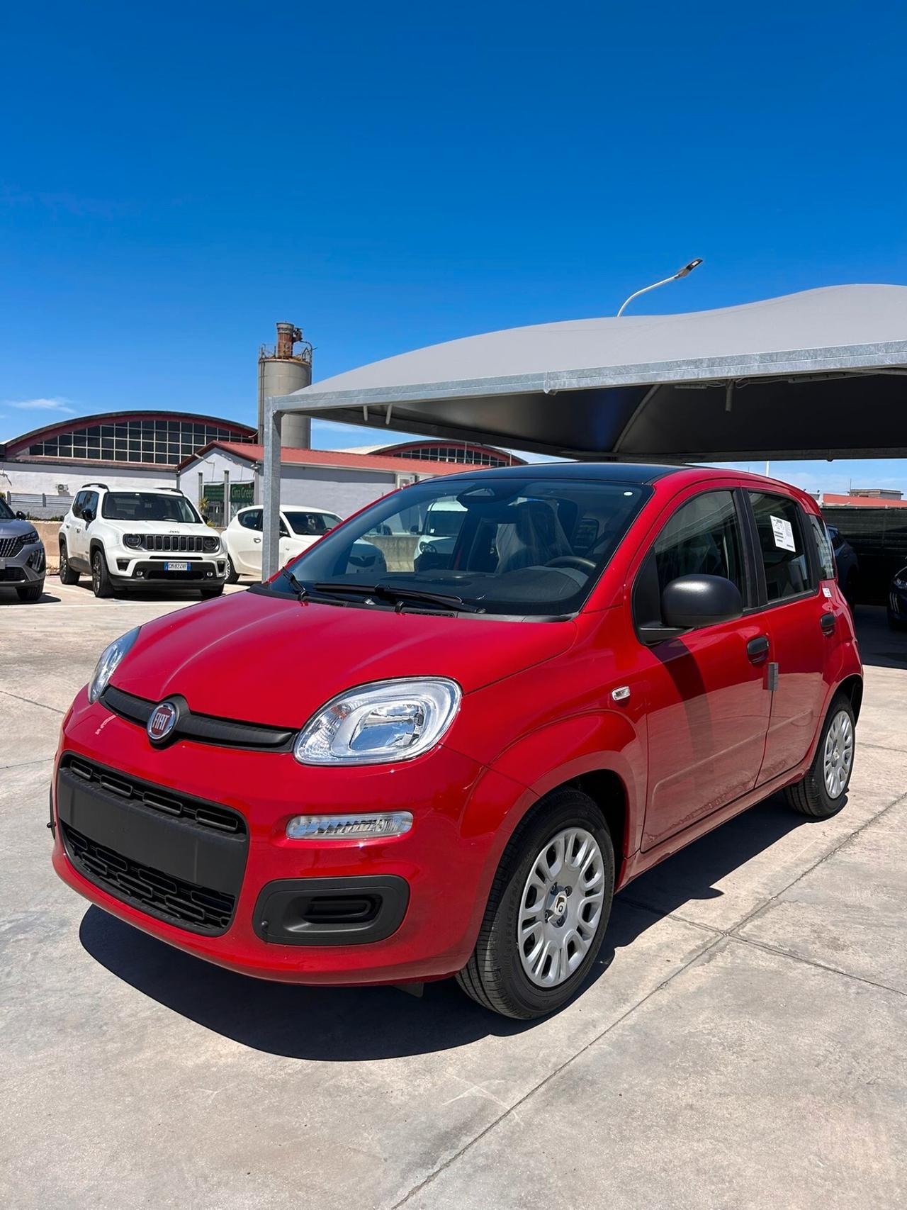 Fiat Panda Pandina 1.0 FireFly 65 CV Hybrid Icon