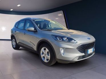 FORD Kuga 1.5 EcoBlue 120 CV 2WD Titanium Business del 2021