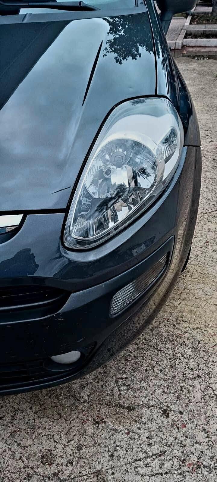 Fiat Punto Evo 1.3 Mjt 75 CV 5 porte Dynamic