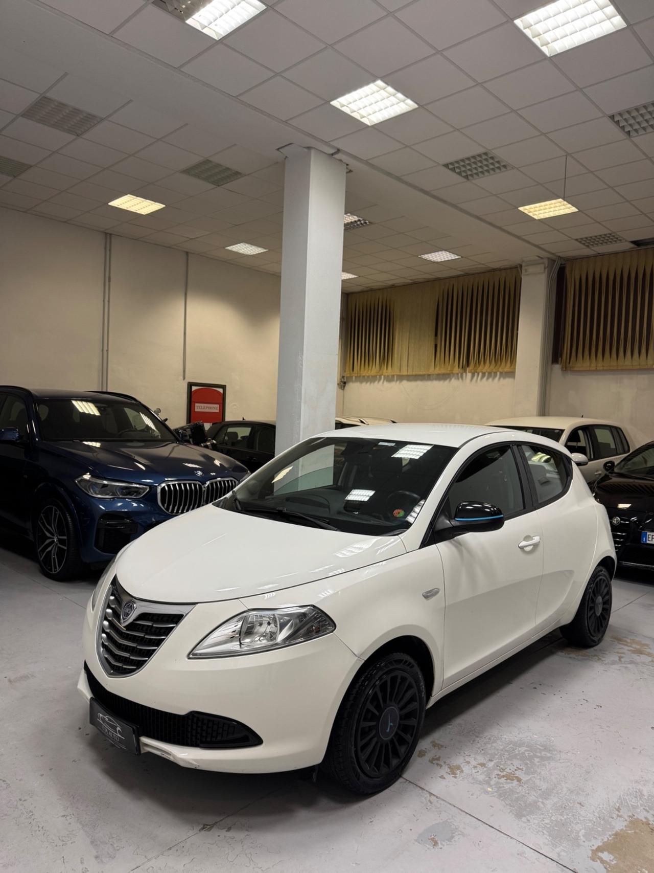 Lancia Ypsilon 1.2 69 CV 5 porte Platinum