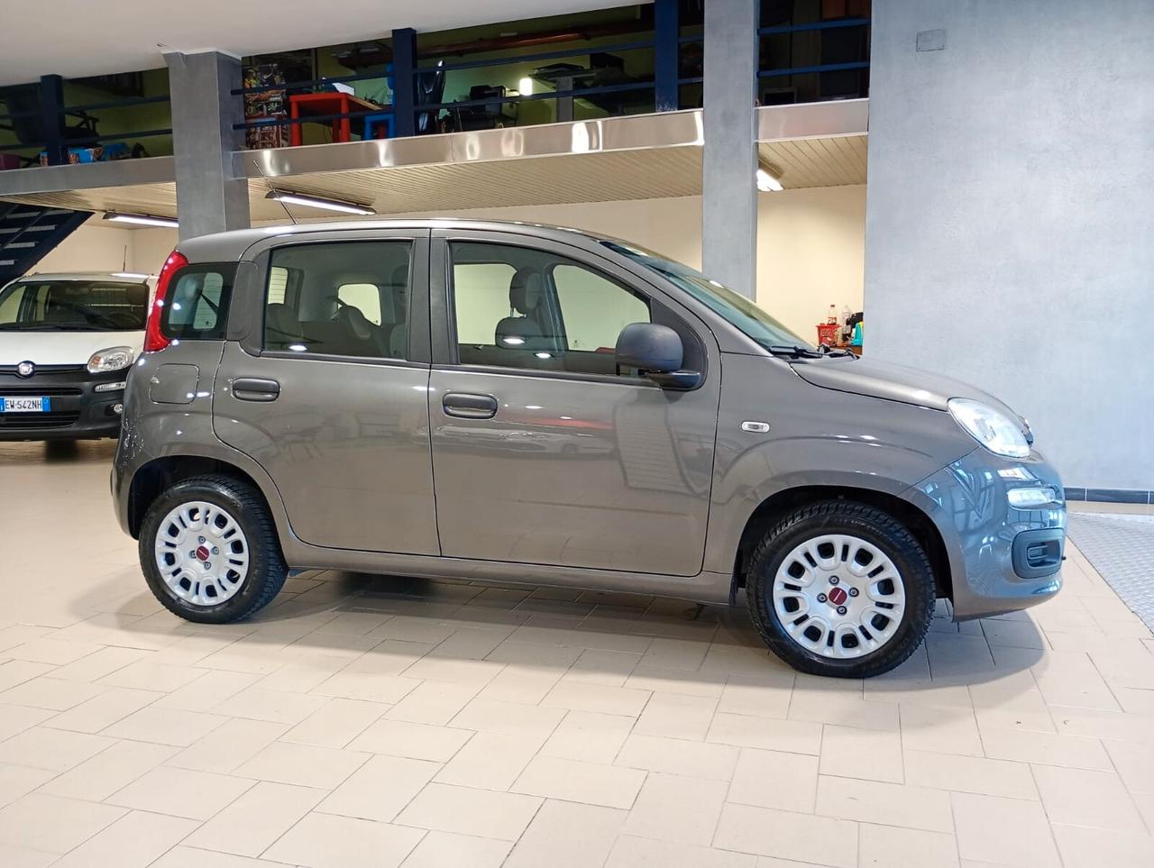 Fiat Panda 1.2 Easy