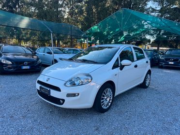 Fiat Punto 1.3 MJT 95CV S&S 5 porte Van 4 posti N1