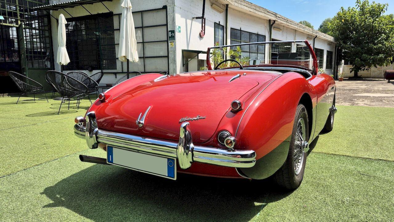 Austin-Healey 100 BN1 – 1954 - SUMMER PRICE