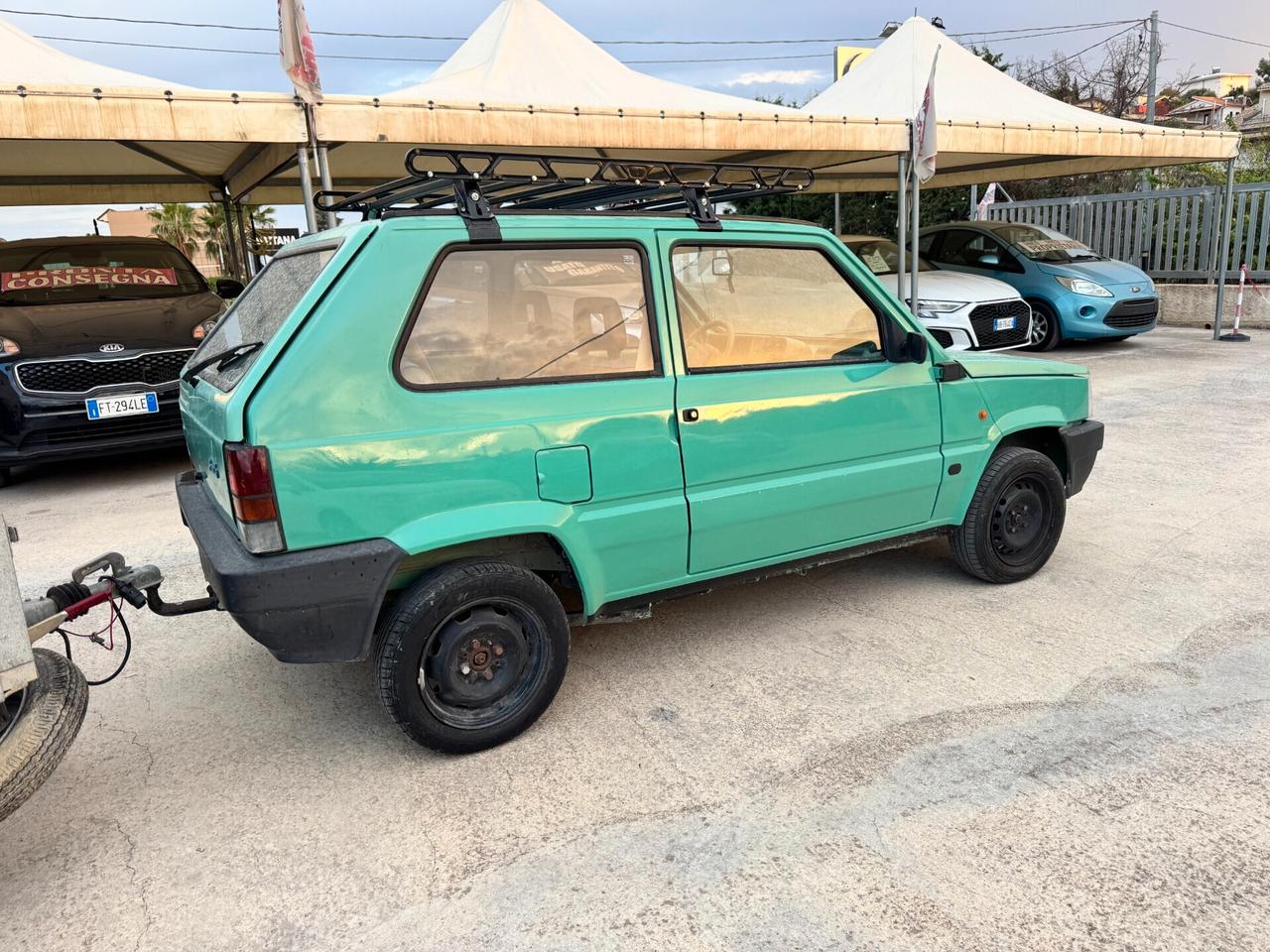 Fiat Panda 1100 i.e. cat Young