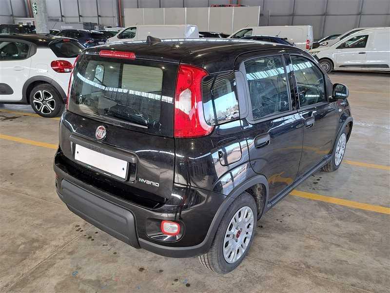 FIAT PANDA 1.0 FireFly 70cv S/S Hybrid 5 PORTE