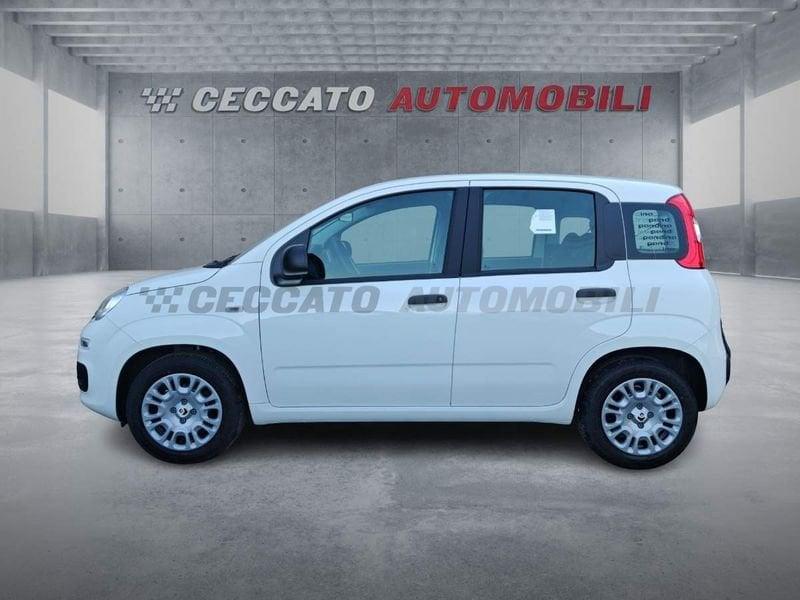 FIAT Pandina Pandina 1.0 65cv Hybrid Icon