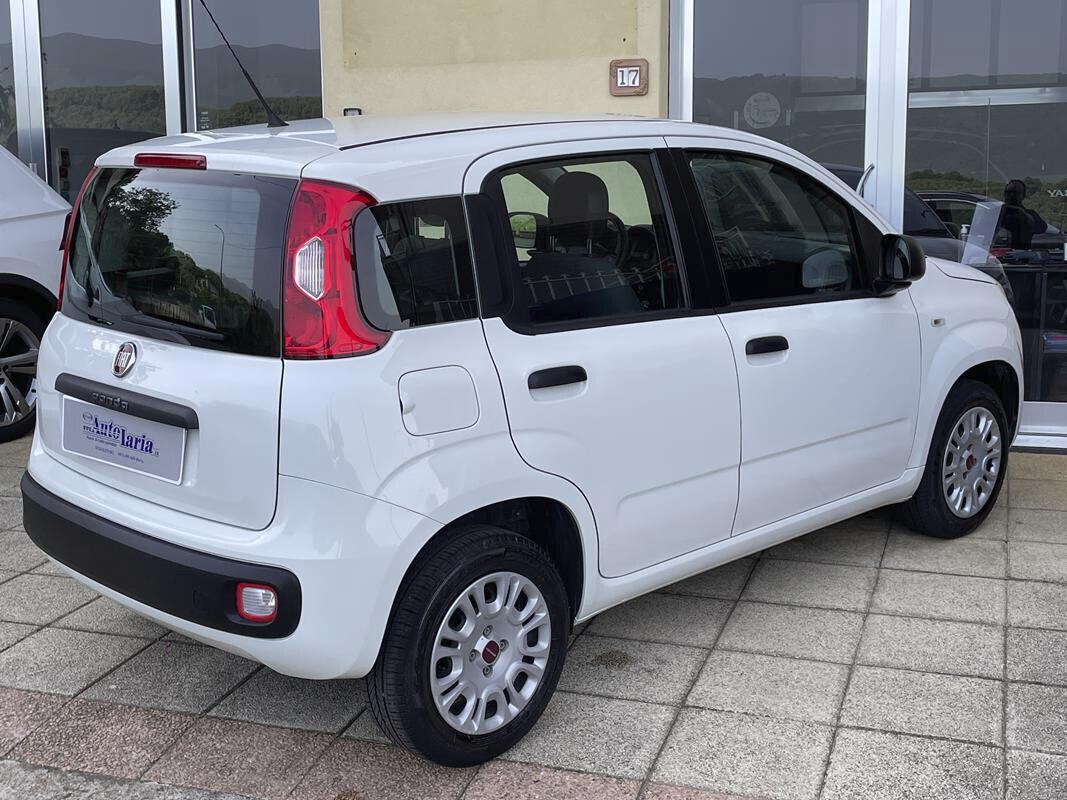 Fiat Panda 1.2 Easy S&S 69cv my19 "Adatta anche per neopatentati" (fendinebbia-Bluetooth - USB-Block System)