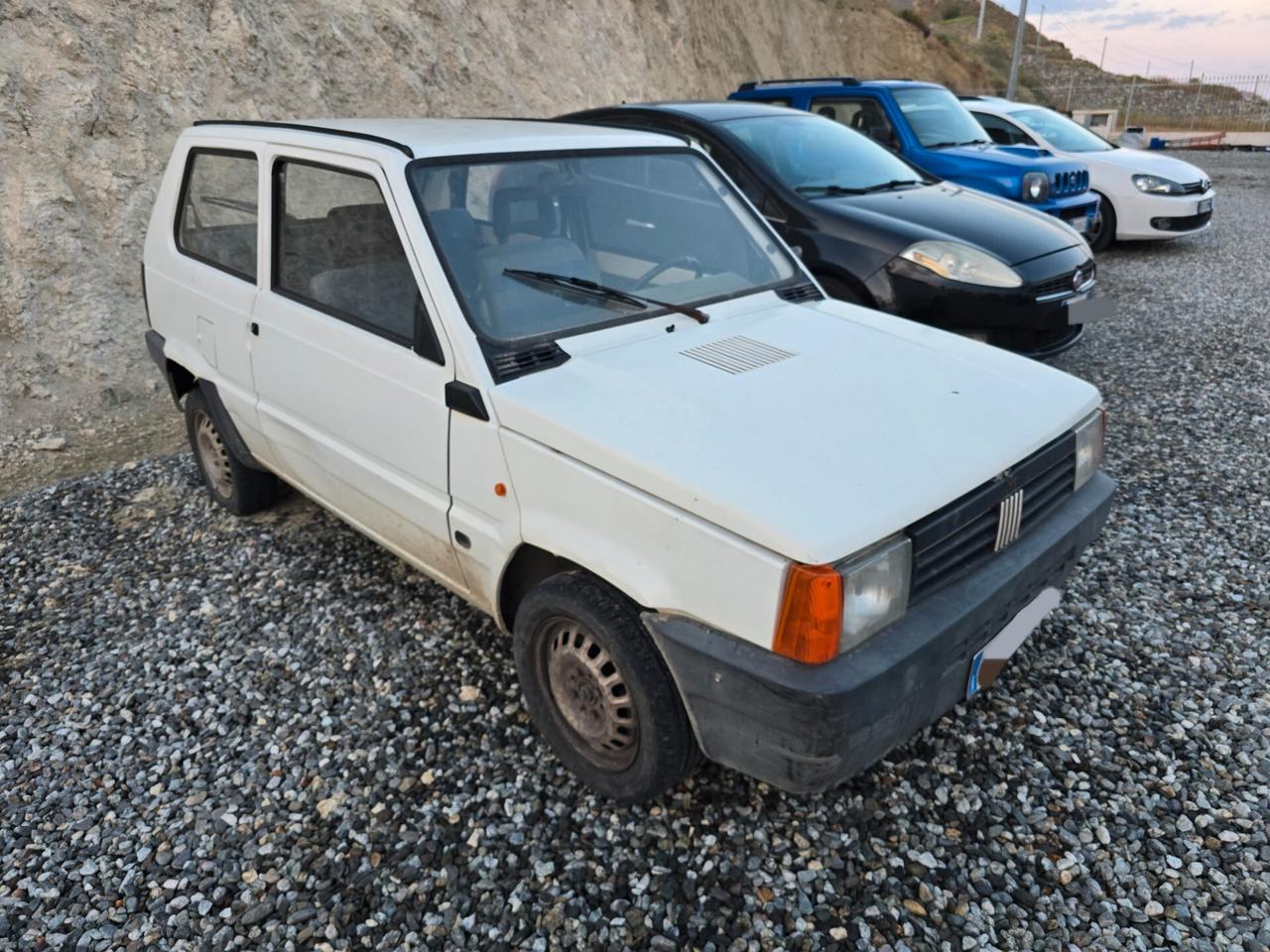 Fiat Panda 900 i.e. cat Young