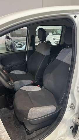 Fiat Panda 1.0 firefly hybrid 69CV City Life