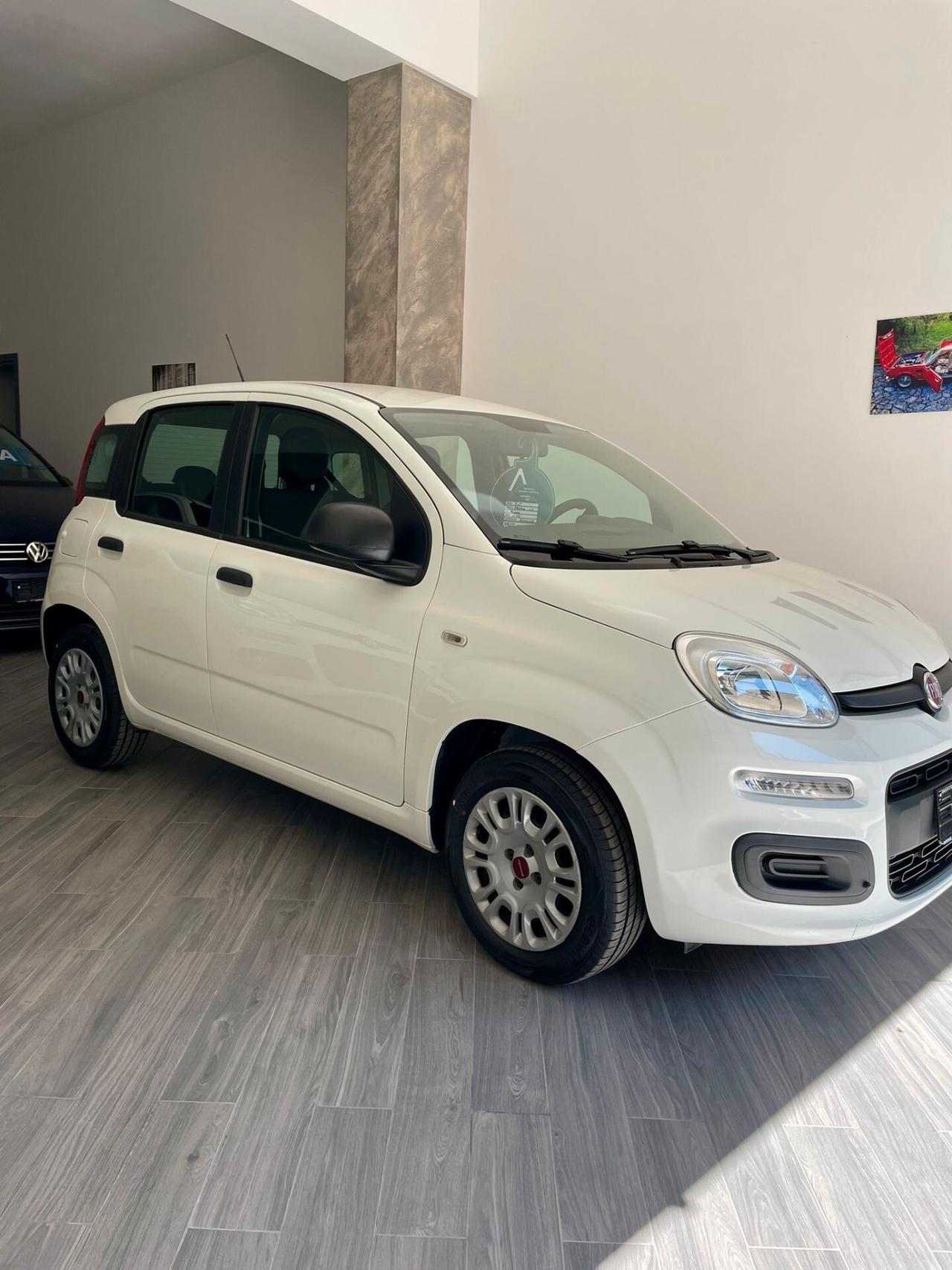 Fiat Panda 1.2 Easy