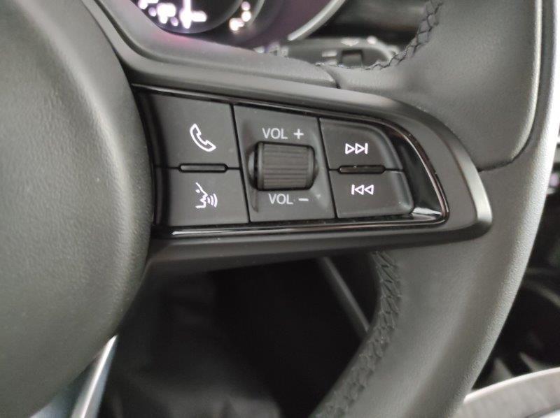 ALFA ROMEO Stelvio - Stelvio 2.2 Turbodiesel 190 CV AT8 Q4 Business