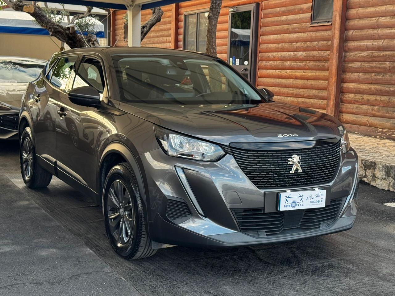 Peugeot 2008 PureTech 100 S&S Active