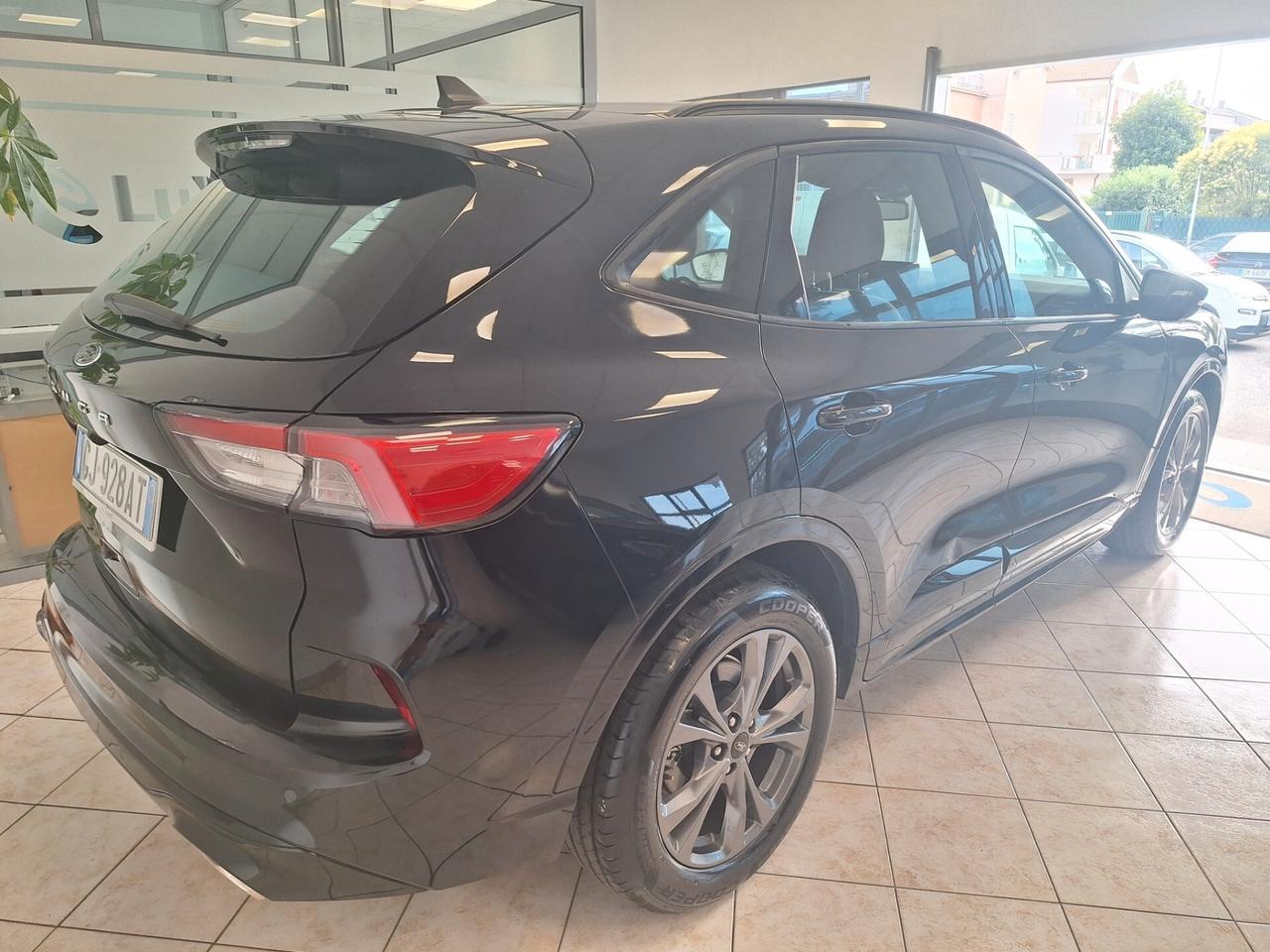 Ford Kuga 1.5 EcoBlue 120 CV 2WD ST-Line