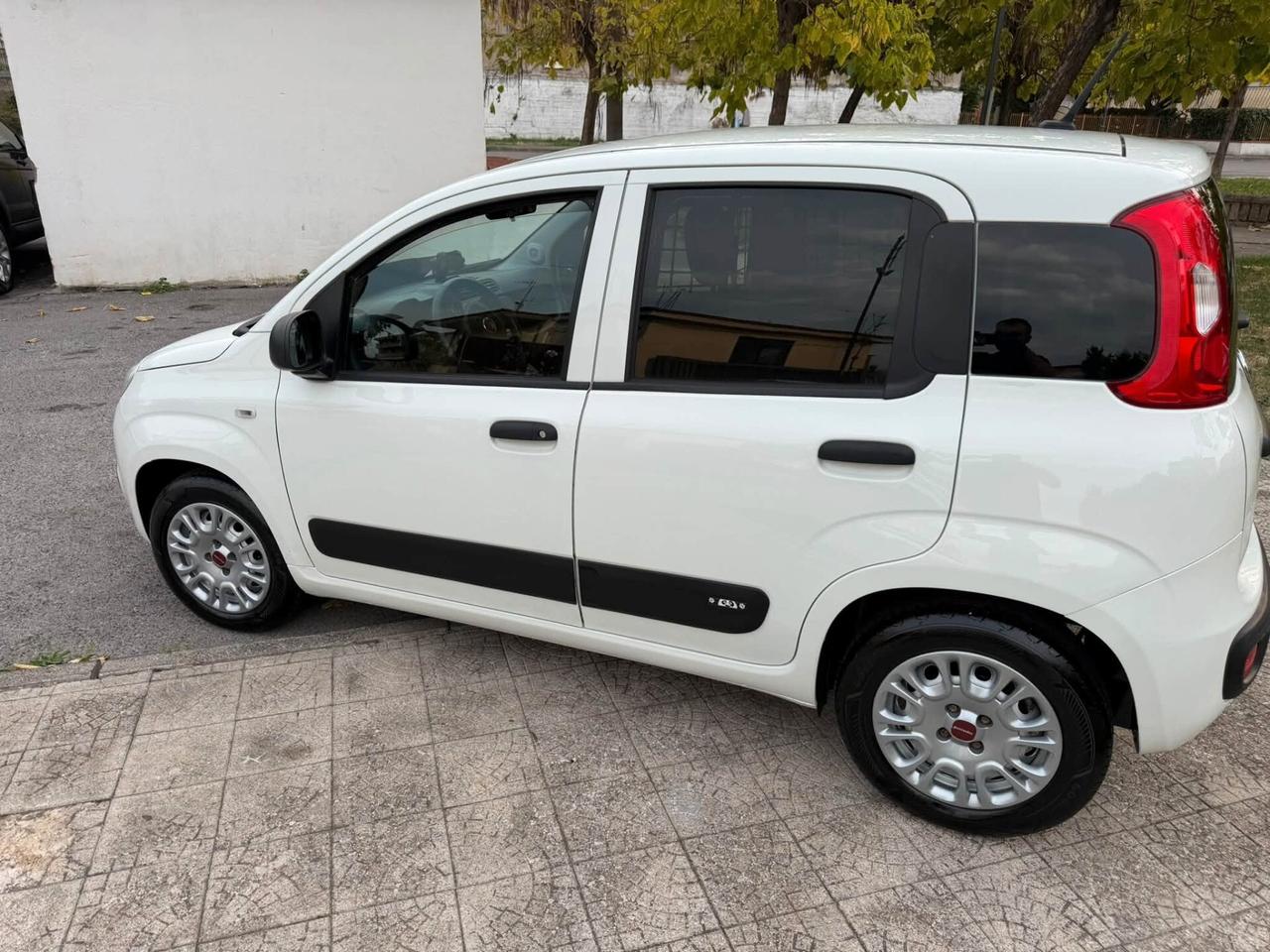 Fiat Panda 1.0 GSE S&S Hybrid Pop Van 2 posti