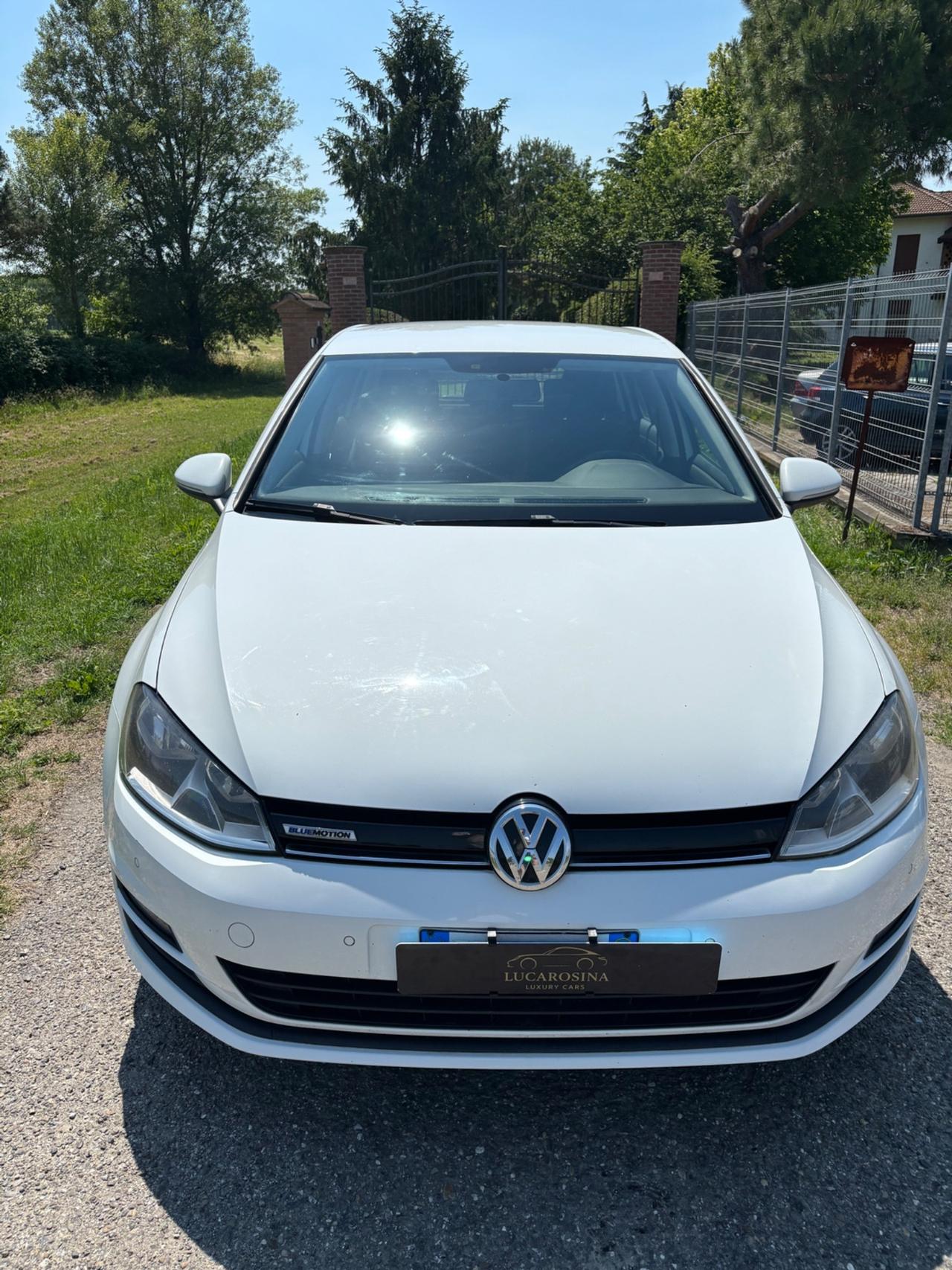 Volkswagen Golf Business 1.4 TGI 5p. Comfortline BlueMotion Solo per export