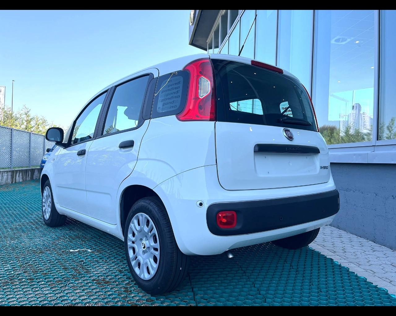 FIAT Pandina III 2024 - Pandina 1.0 firefly hybrid Pop s&s 70cv